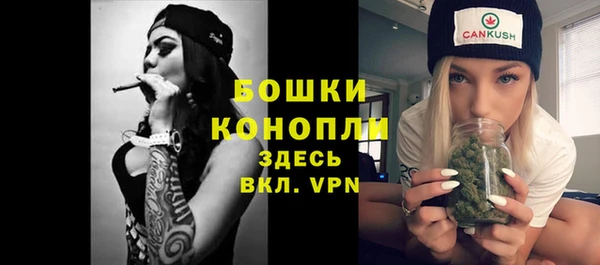 ГАЛЛЮЦИНОГЕННЫЕ ГРИБЫ Нея