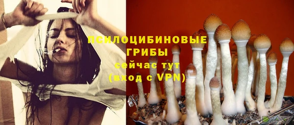 герыч Нефтекумск